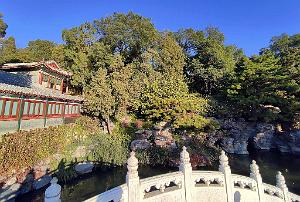 2023 11 PEKIN - PARC BEIHAI (29)